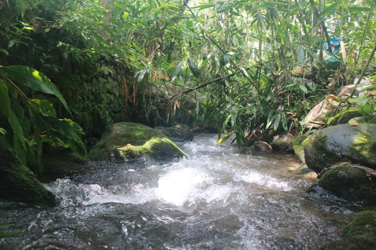 Nature Routes Cottage Munnar Eksteriør bilde