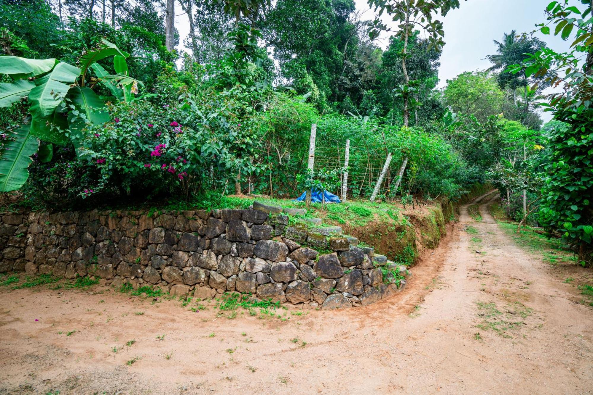 Nature Routes Cottage Munnar Eksteriør bilde