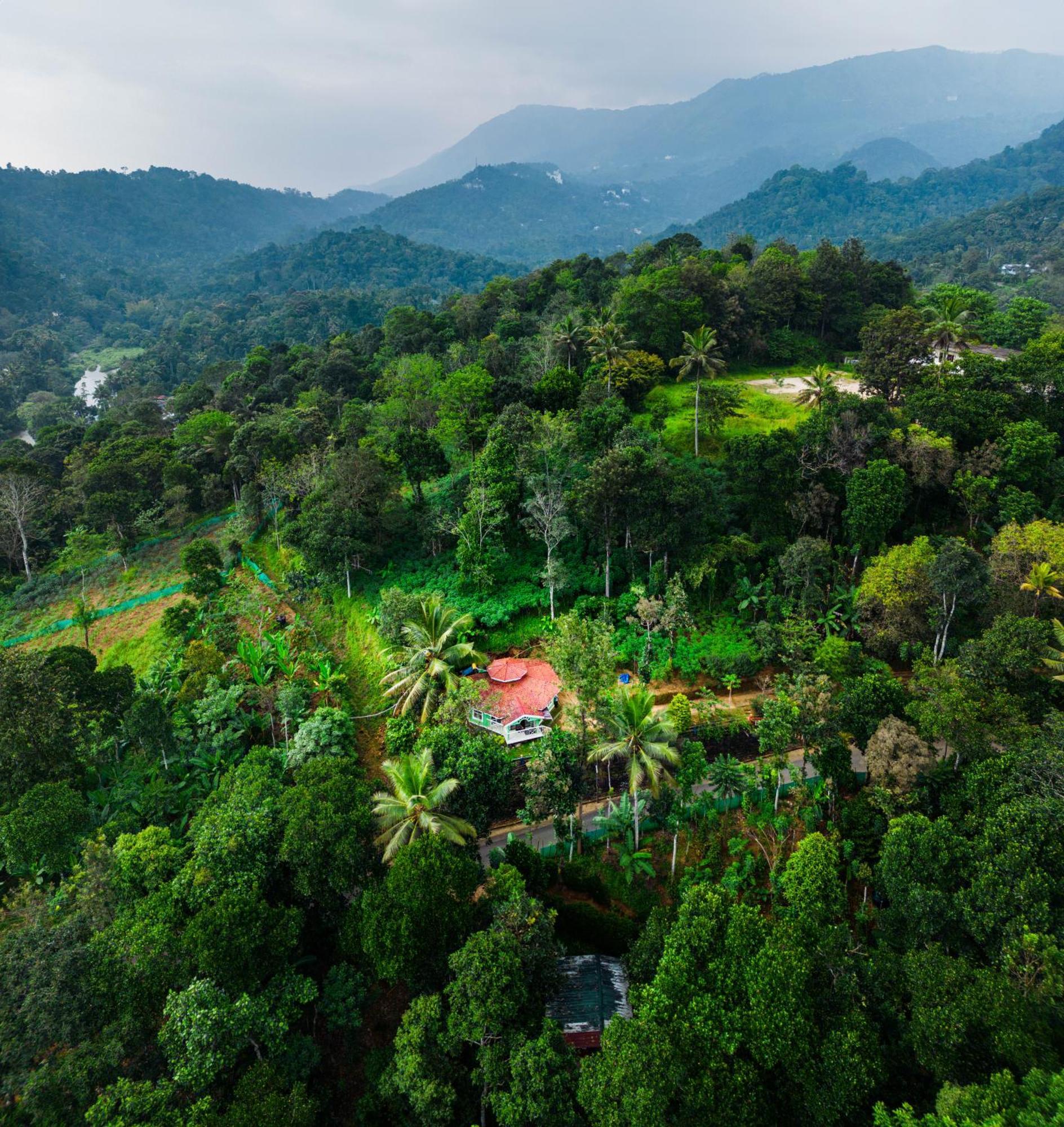 Nature Routes Cottage Munnar Eksteriør bilde